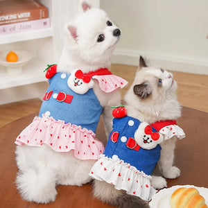 Vestido/Coleira & Guia Pet Moranguinho