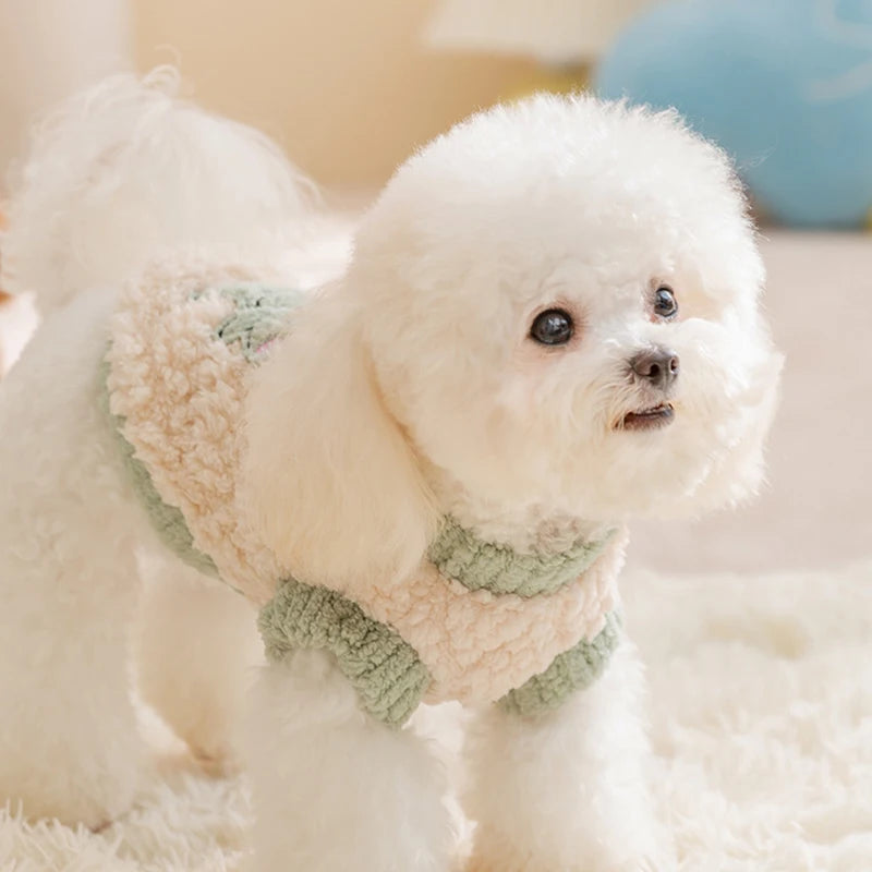 Coletinho Pet Soft Cute