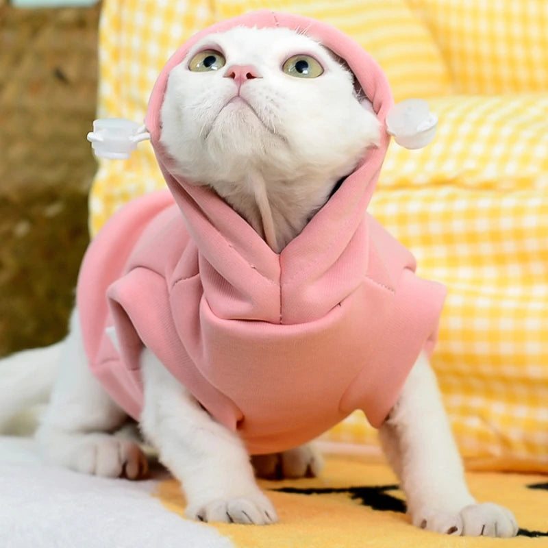 Moletom Capuz Ajustável Pet Sphynx Cat