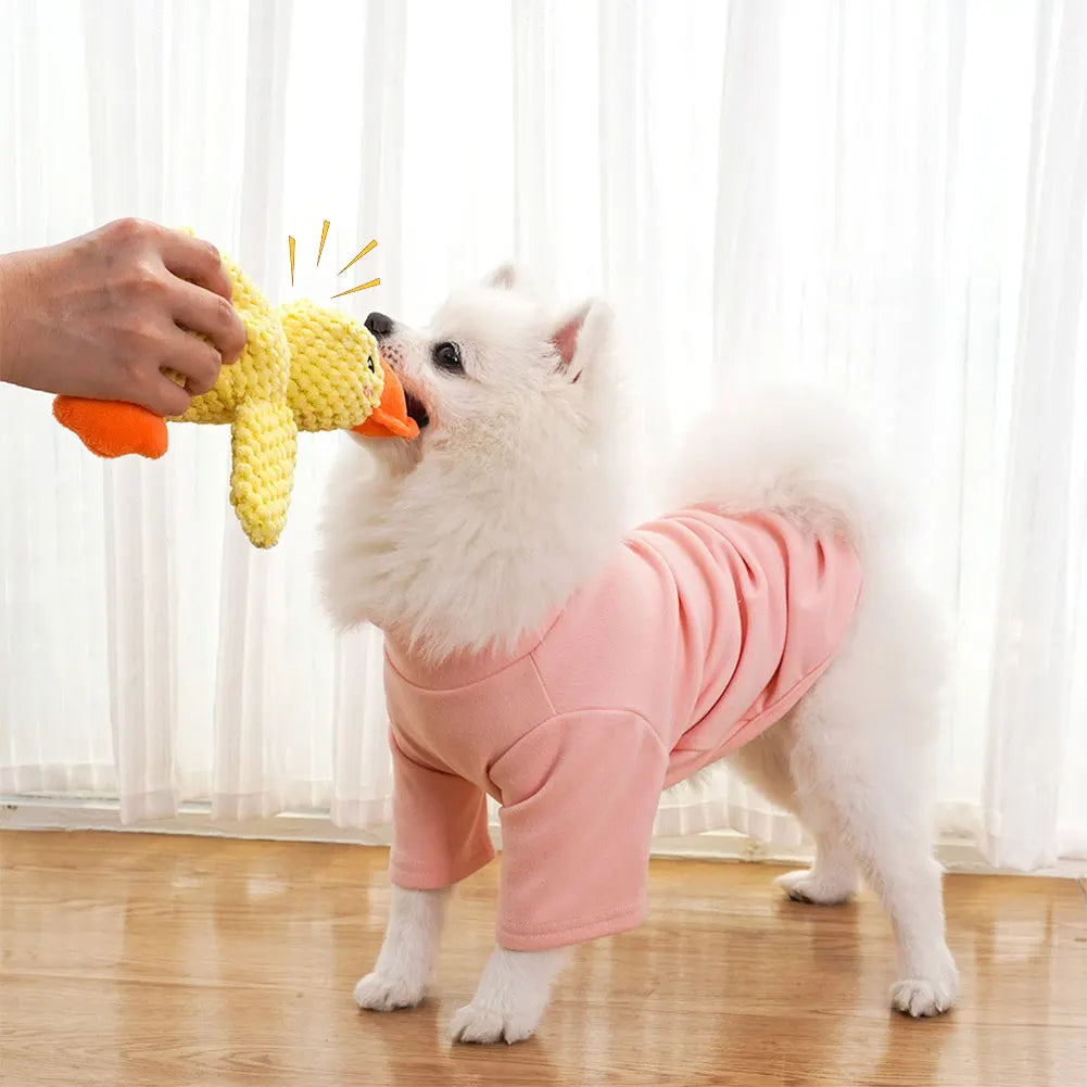 Brinquedo Pet Ursinho Pato