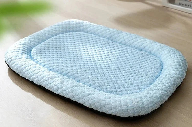 48597973958973|48597973991741|48597974417725