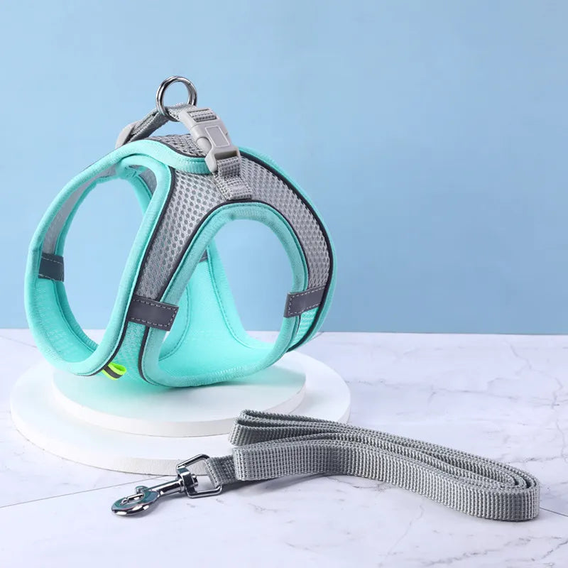 47680765100349|47680765133117|47680765165885|47680765198653|47680765231421