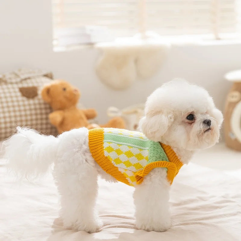 Tricot Pet Classique