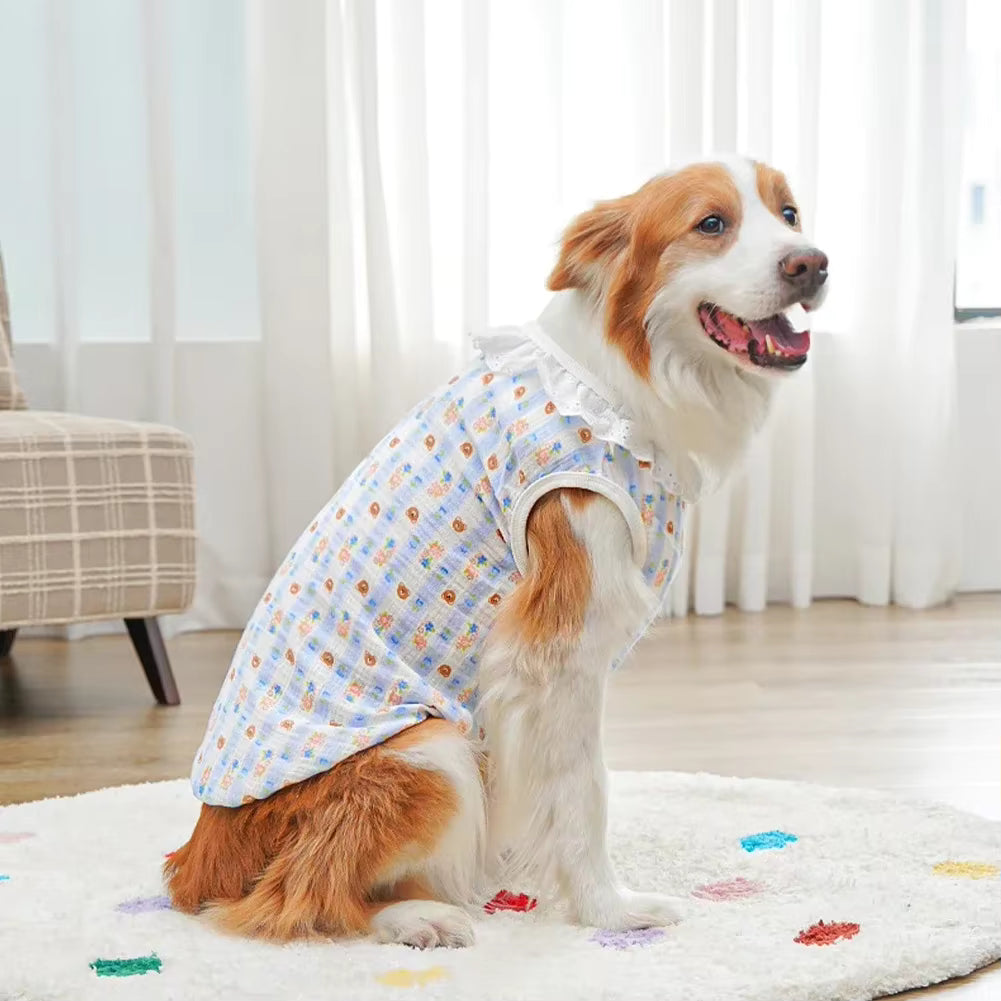 Blusinha Algodão Pet Lolipot