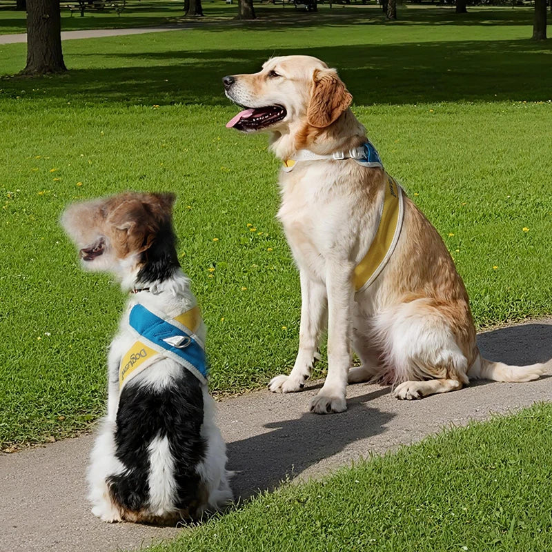 Coleira Pet Anti-puxão Acolchoada PetStyle