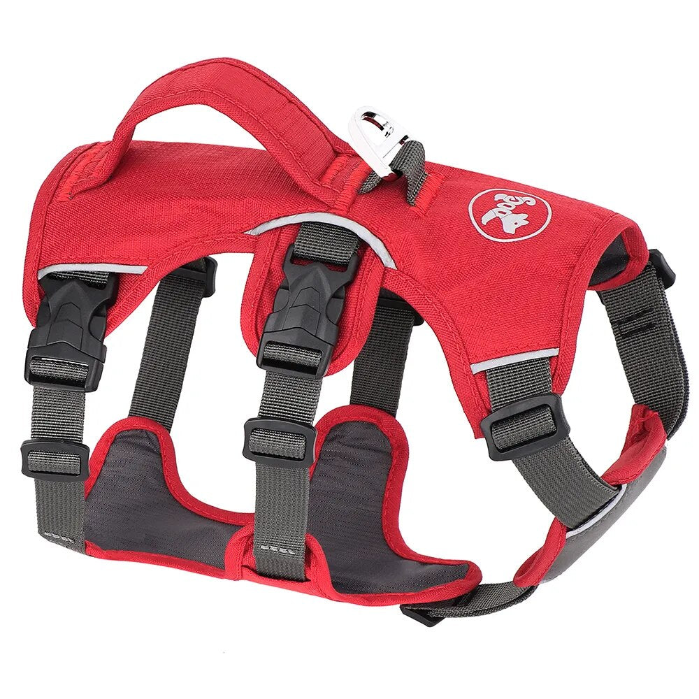 47200222380349|47200222413117|47200222445885|47200222576957|47200222642493