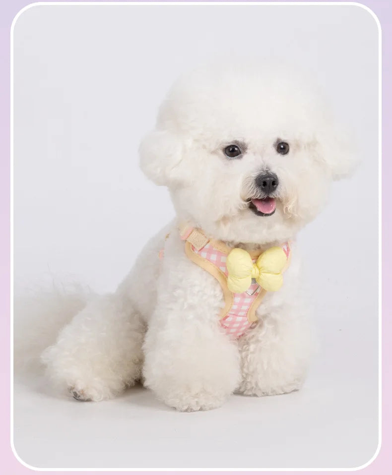 Coleira & Guia SweetPet