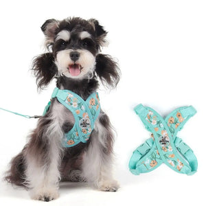 Coleira & Guia Pet Lizz Freshs
