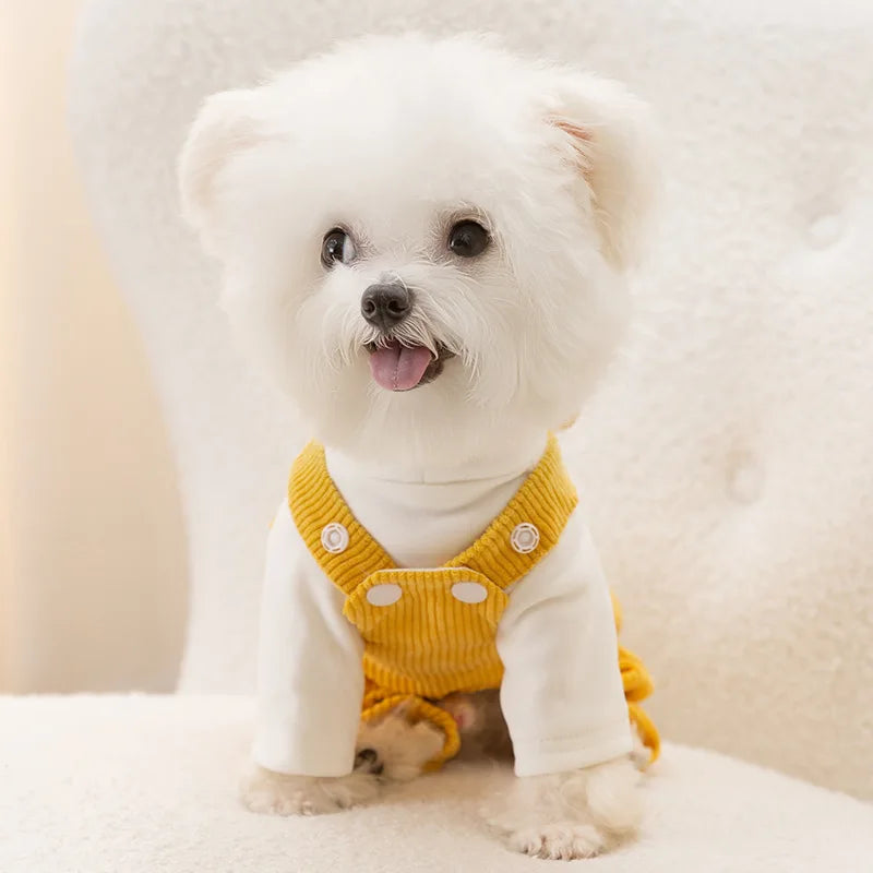 Macacão Pet Peluche