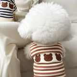 Tricot Pet Fofo Ursinhos