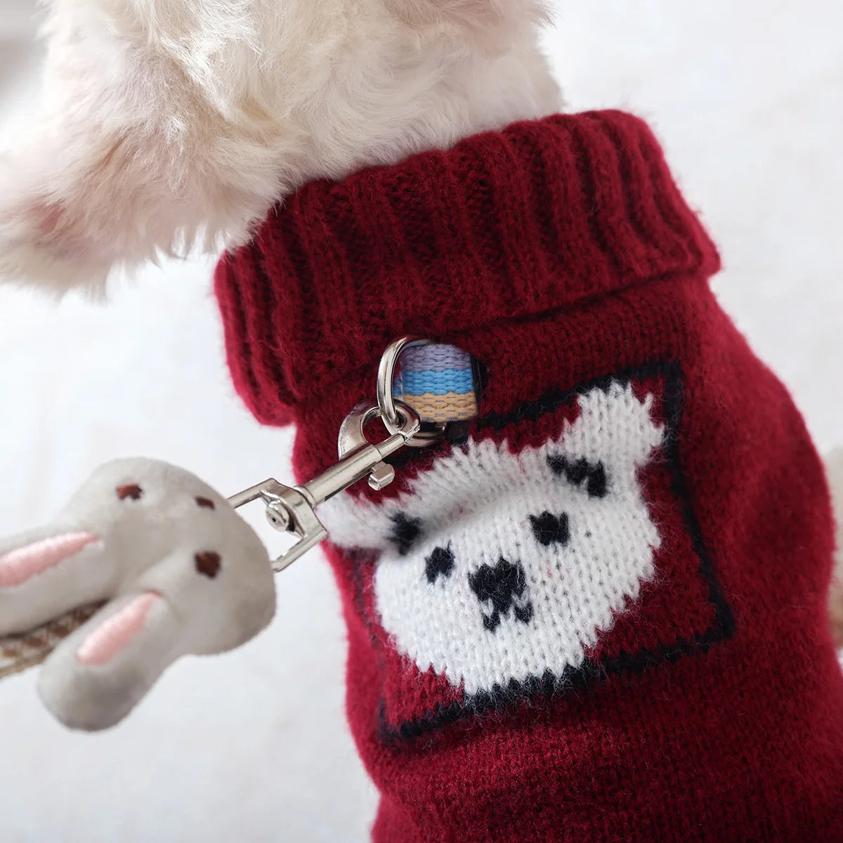 Tricot Pet Lindinho