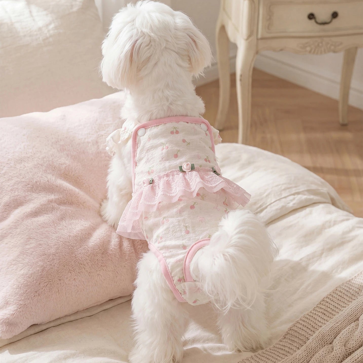 Macacão Pet Fraldinha Pet Pants