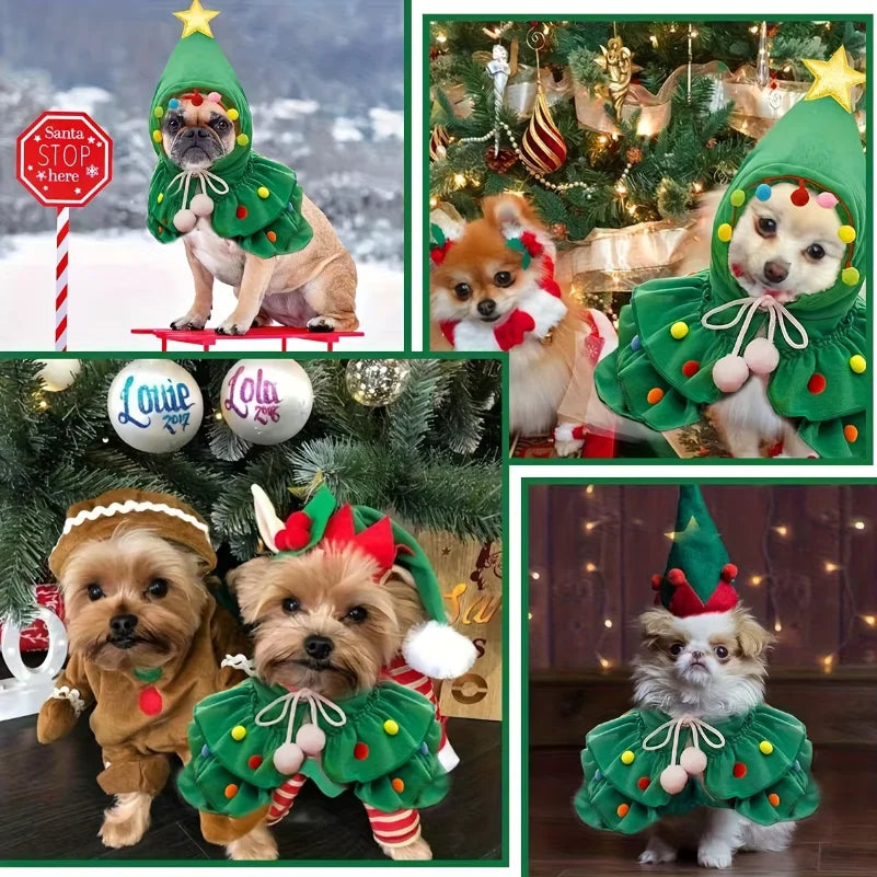 Roupinha Xale Pet Encanto de Natal