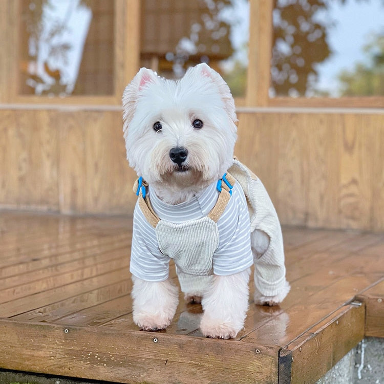 Macacão Pet Sapinho