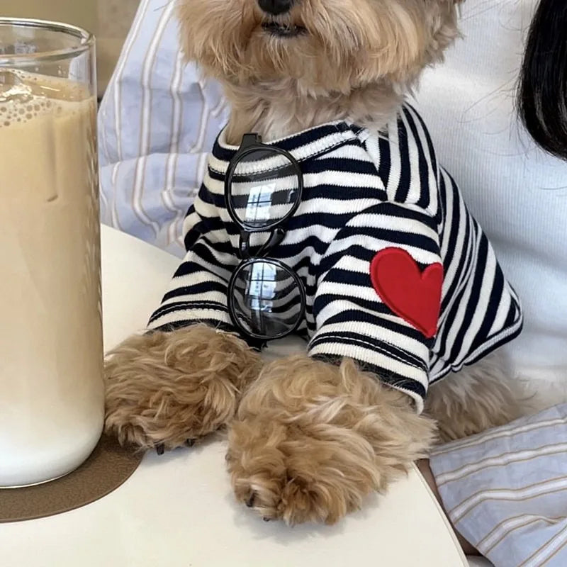 Blusinha Pet Listrada Suit