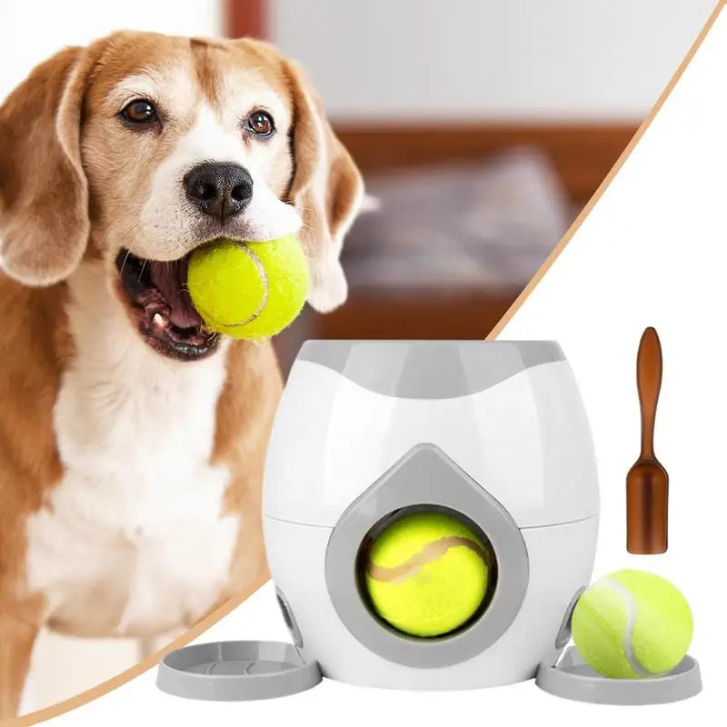 Brinquedo Interativo Pet Lançador