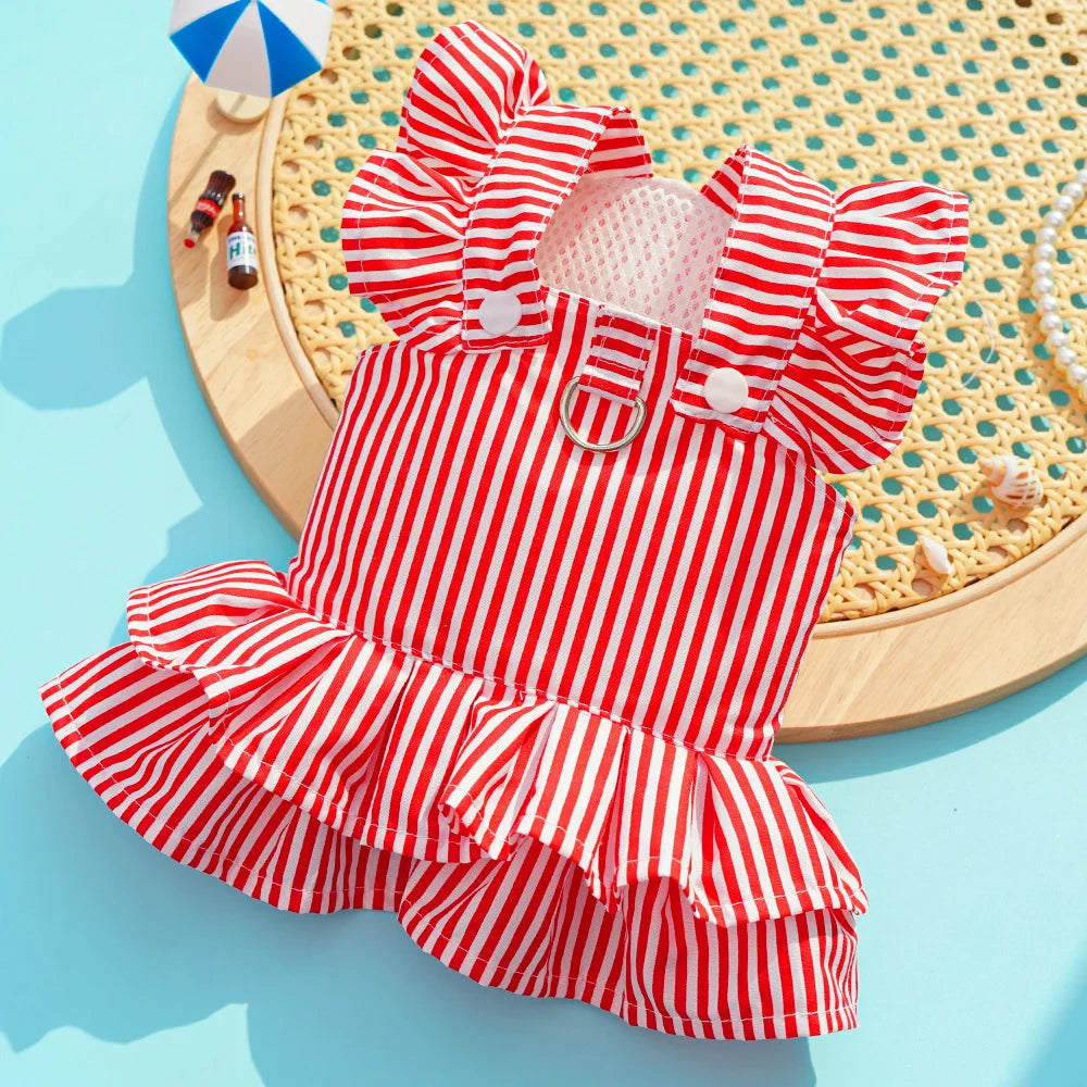 Vestidinho Arraiá Pet