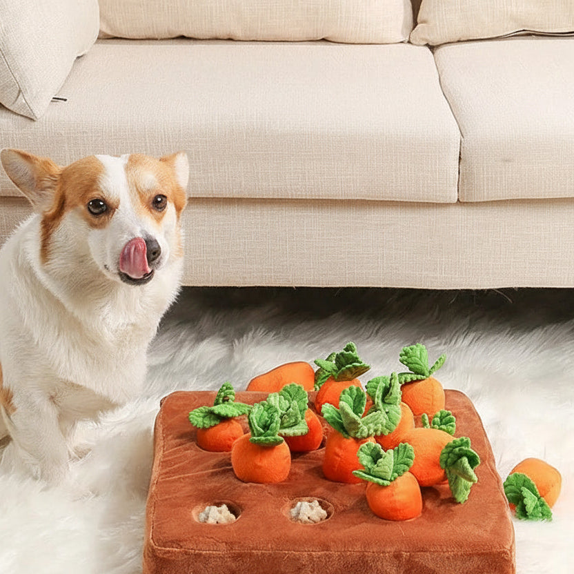 Brinquedo Alimentação Lenta&Interativa Snufy