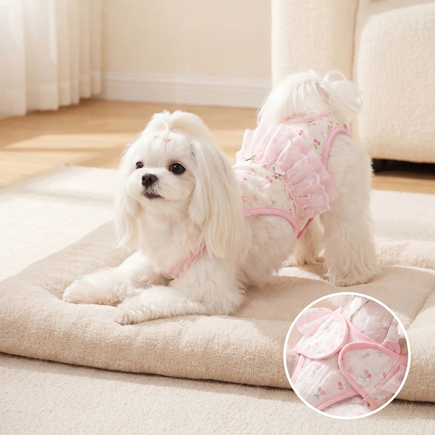 Macacão Pet Fraldinha Pet Pants