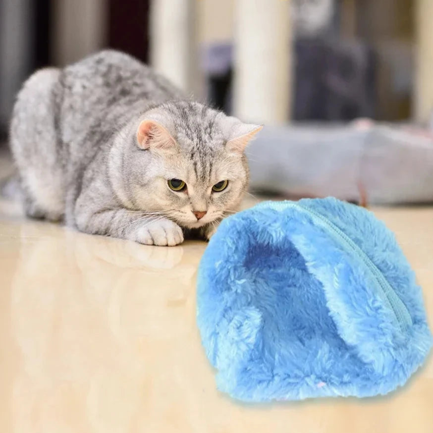 Conjunto Bolinha Automática Truck