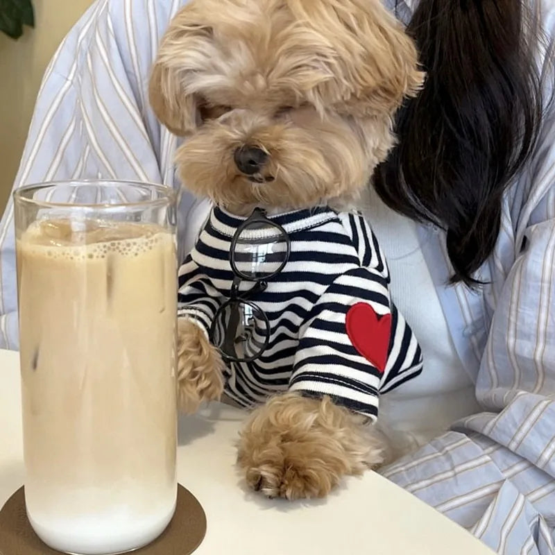 Blusinha Pet Listrada Suit