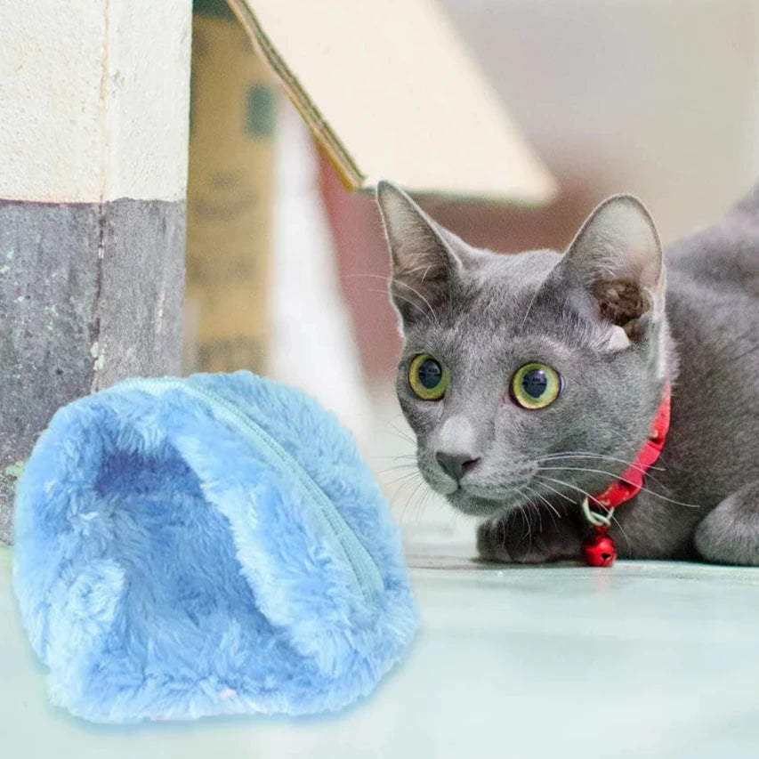 Conjunto Bolinha Automática Truck