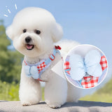 Coleira & Guia SweetPet