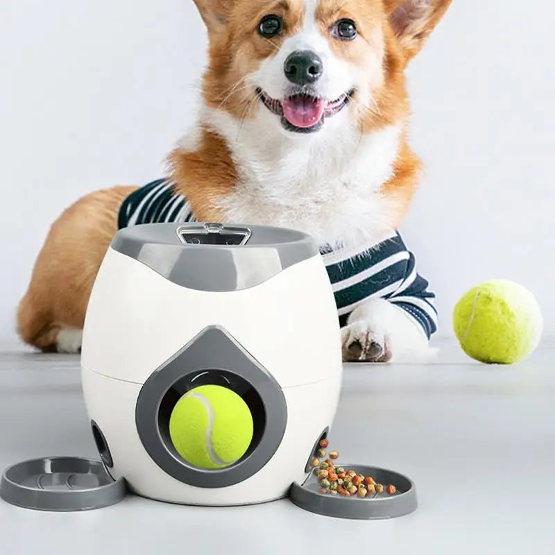 Brinquedo Interativo Pet Lançador