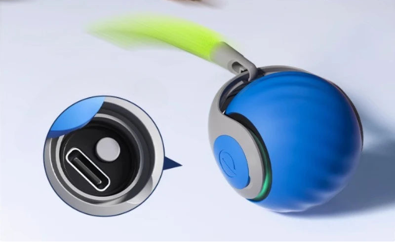 Bolinha Pet Com Rolamento Automático Train