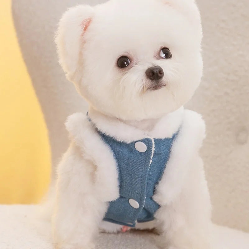 Colete Pet Fofucão