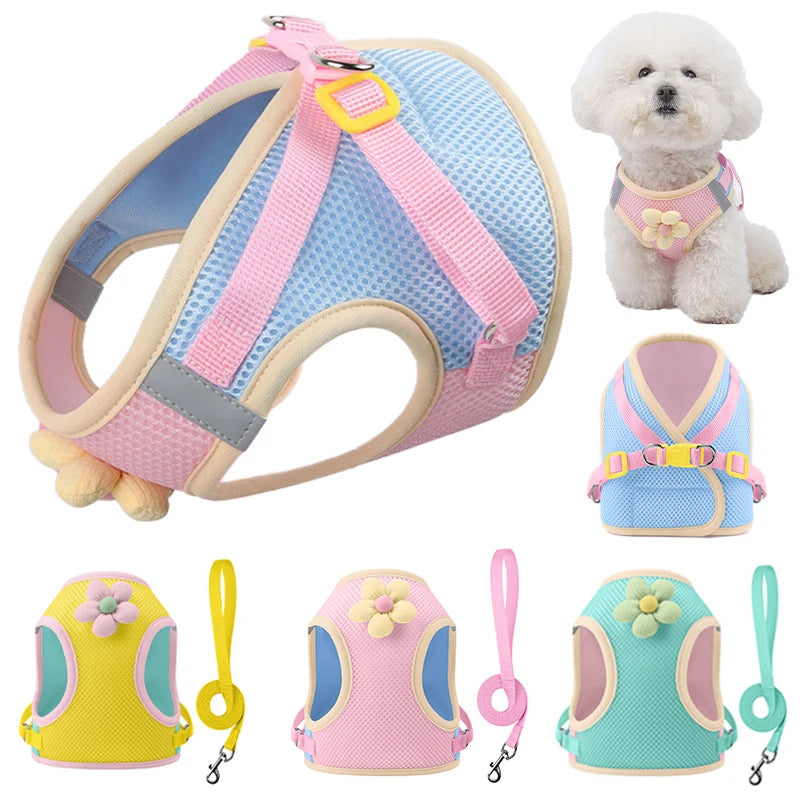 Coleira & Guia Pet Mimus