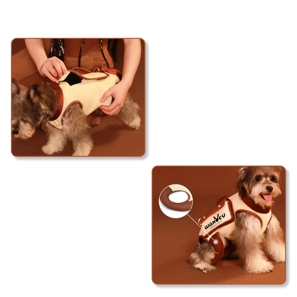 Mochila/Coleira com Elevação Pet Board