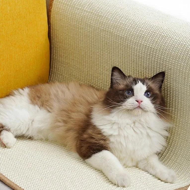 Tapete Arranhador Huy