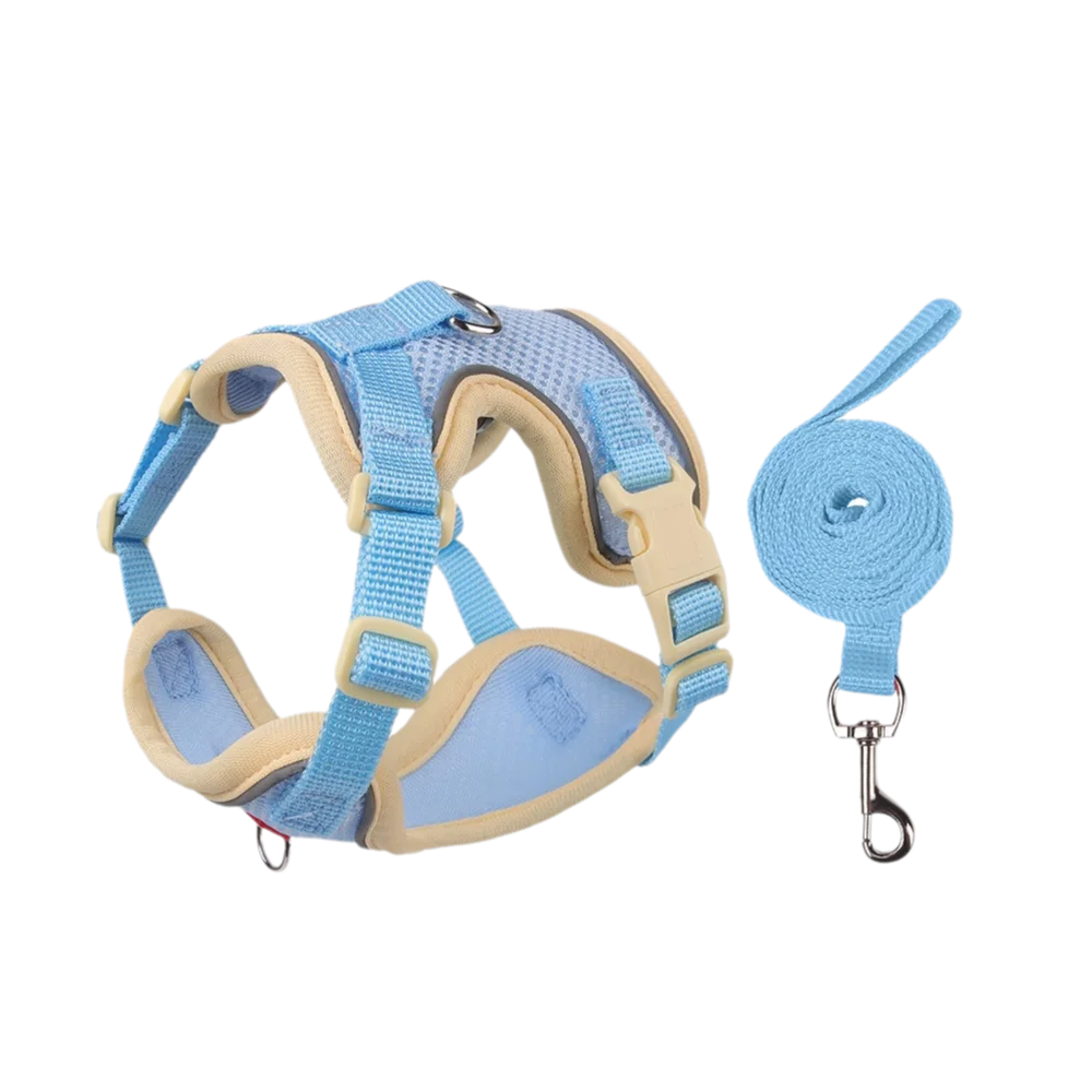 Coleira Pet & Guia Royale