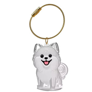 Chaveiro Colecionar Pelos Pet Memories