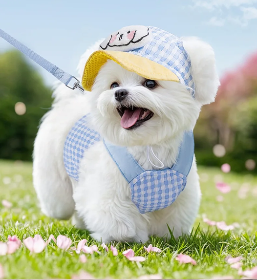 Kit Coleira Peitoral/Guia & Chapéu Hame