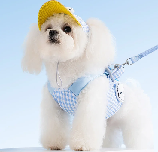 Kit Coleira Peitoral/Guia & Chapéu Hame