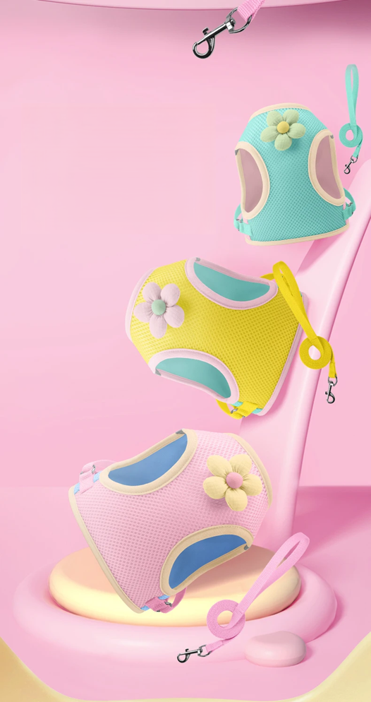 Coleira & Guia Pet Mimus