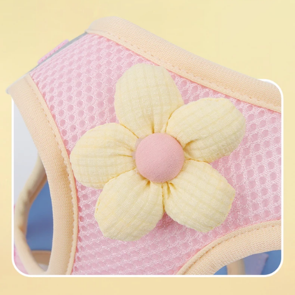 Coleira & Guia Pet Mimus