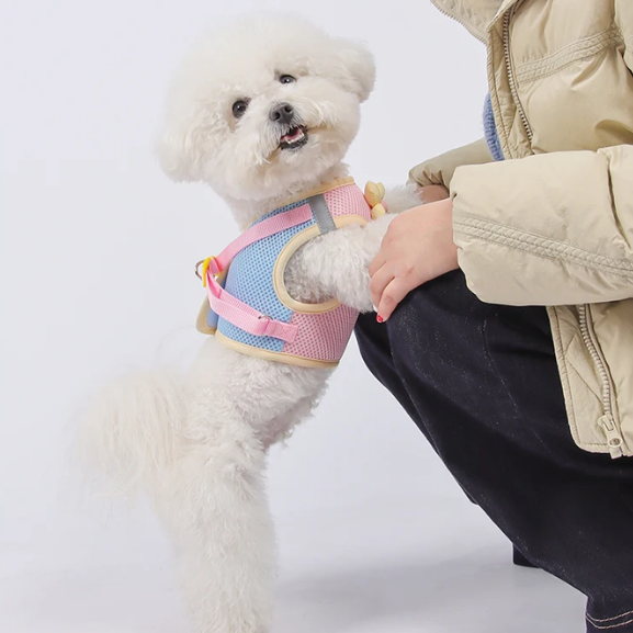 Coleira & Guia Pet Mimus