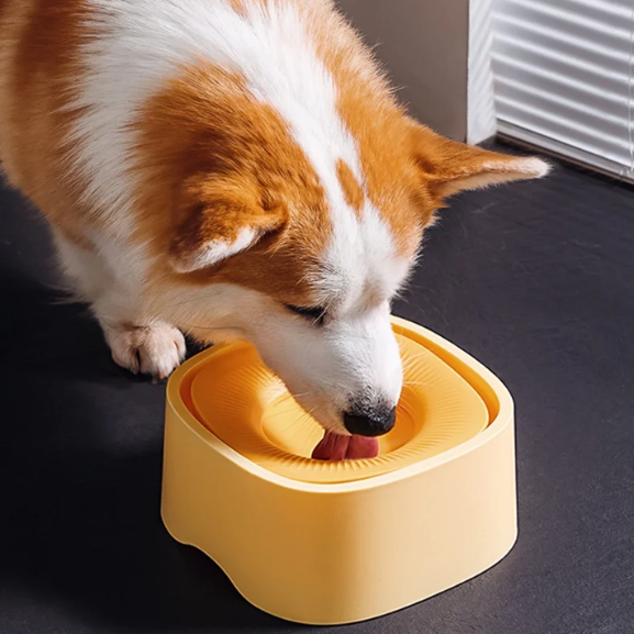 Tigela Pet Flutuante Anti-Respingo Splashs