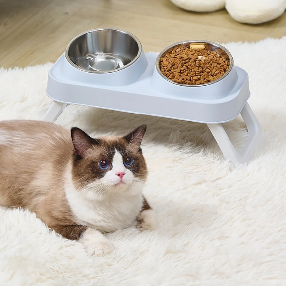 Tigela Dupla Pet Raisem