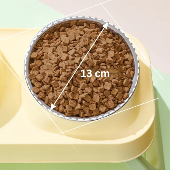 Tigela Dupla Pet Raisem