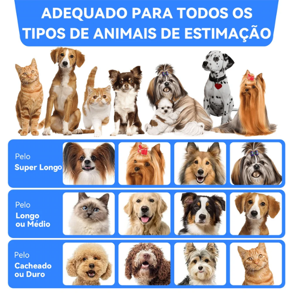 Máquina Removedora & Aspiradora de Pelos Pet Grande Capacidade HairFree