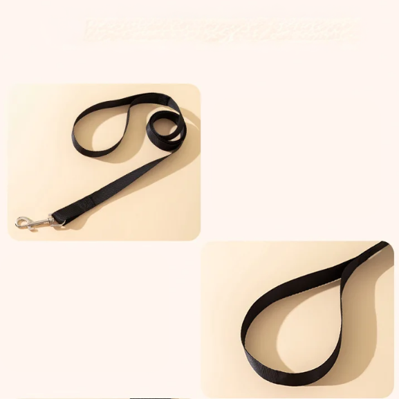 Coleira & Guia Pet Fofinha