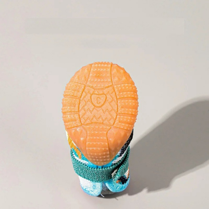 Sapatinho Pet Street Paw