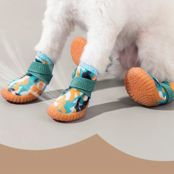 Sapatinho Pet Street Paw