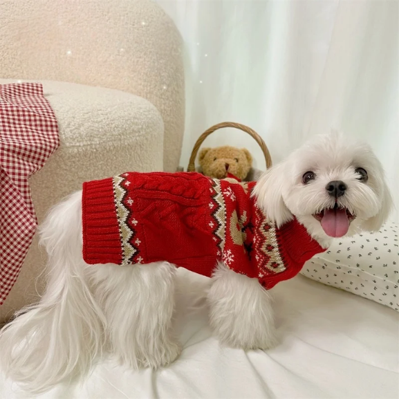 Suéter Pet Biscoitinho & Rena