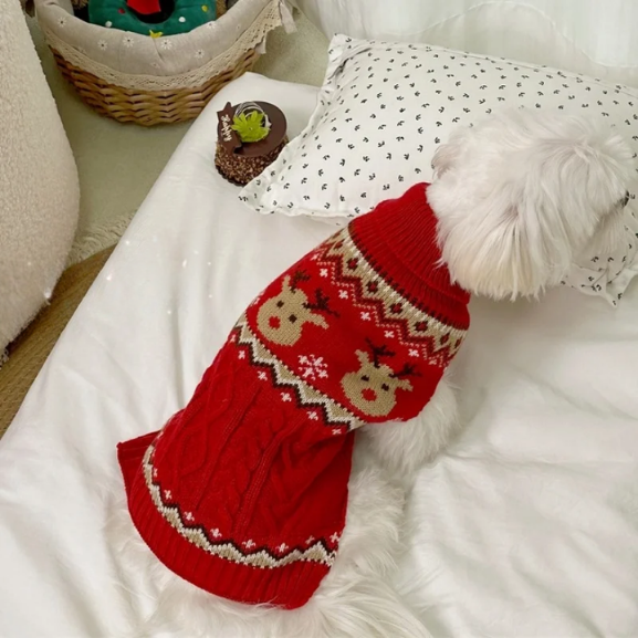 Suéter Pet Biscoitinho & Rena