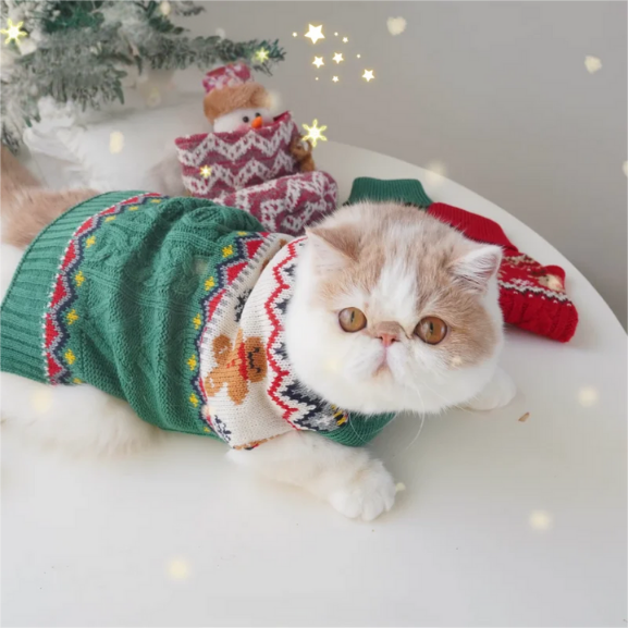 Suéter Pet Biscoitinho & Rena